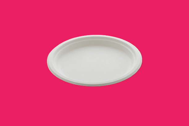9 Inche PLAIN ROUND PLATE
